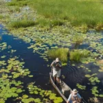 Okavango Delta Backwaters