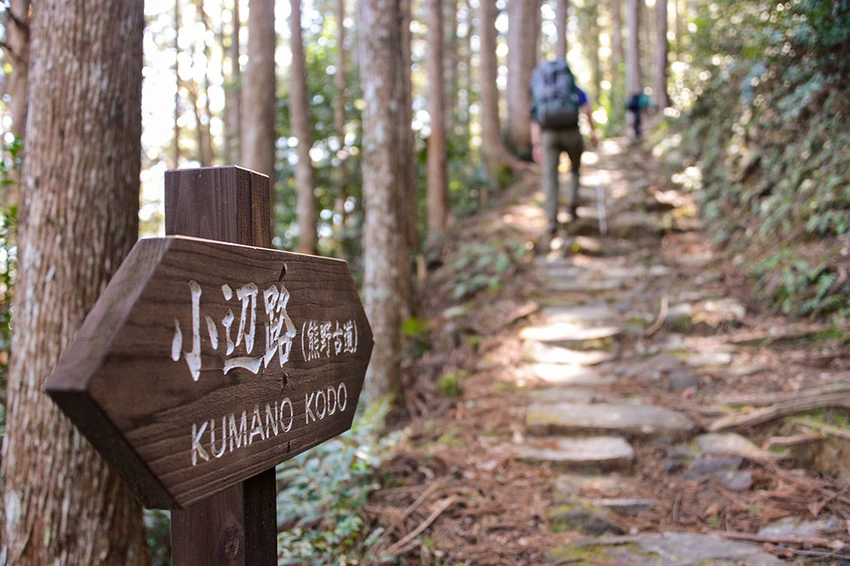 Kohechi Trail Kohechi Trail