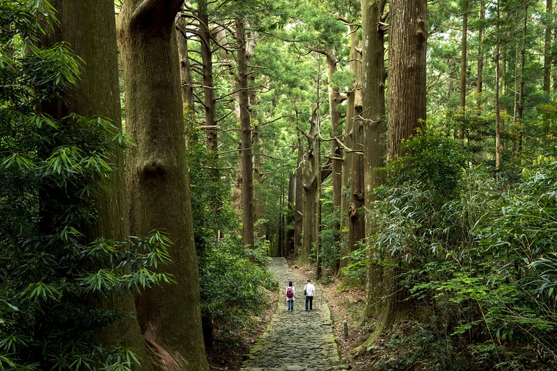 Major Trails of Kumano Kodo Major Trails of Kumano Kodo