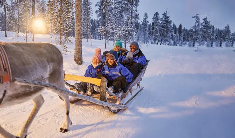 Things to Do on a Lapland Day Trip Things to Do on a Lapland Day Trip